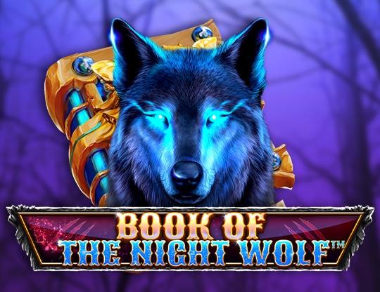 Book of the Night Wolf